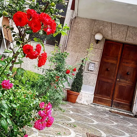 Aurelia Garden 4* Rom